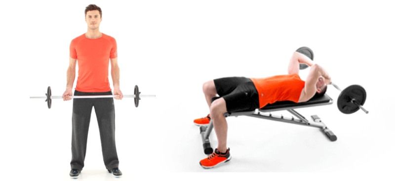 curl-biceps-y-triceps 2