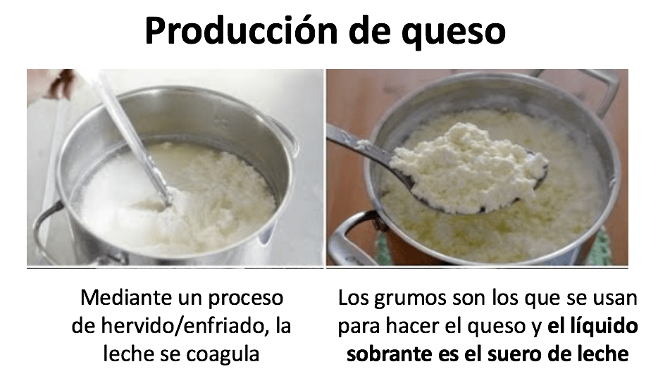 mejores proteinas - suero leche