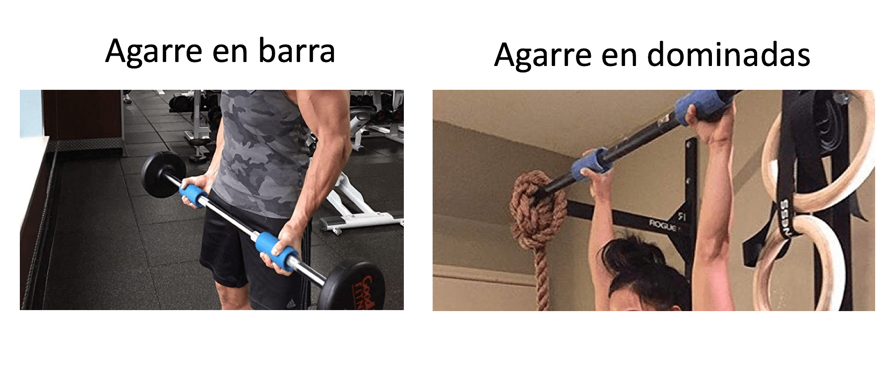 material de gimnasio - fat gripz