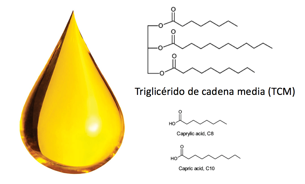 quemagrasas - tcm