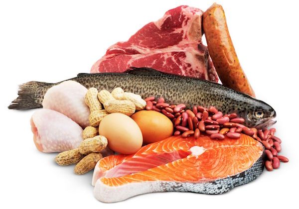 que es la cetosis - proteinas