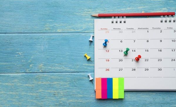 Fuertafit plus - planning