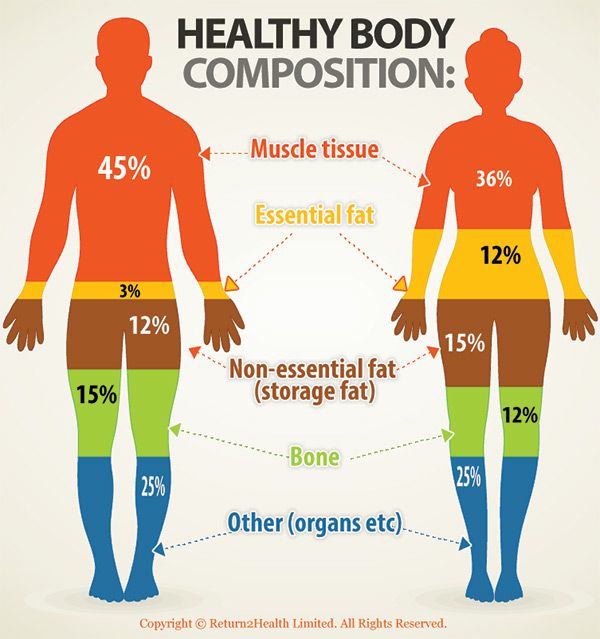 quema grasa abdominal - composicion