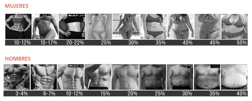 quema grasa abdominal - porcentajes