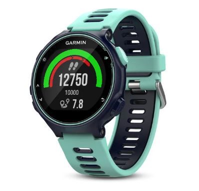 Forerunner 735xt actividad