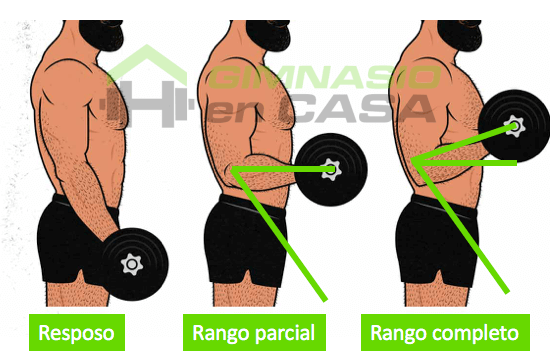 ganar masa muscular - rango articular