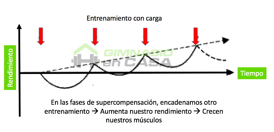 ganar musculo - sobrecarga progresiva