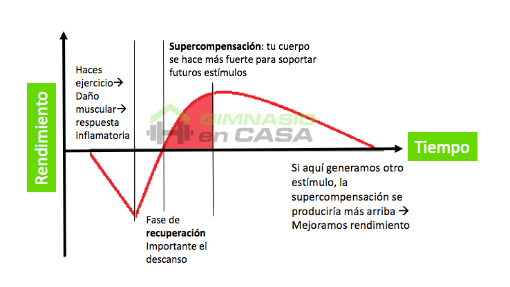 sindrome general adaptacion - gimnasioencasa