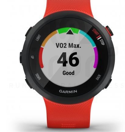Forerunner 45_Vo2Max