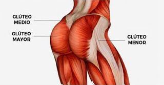 ejercicios-gluteos-figura