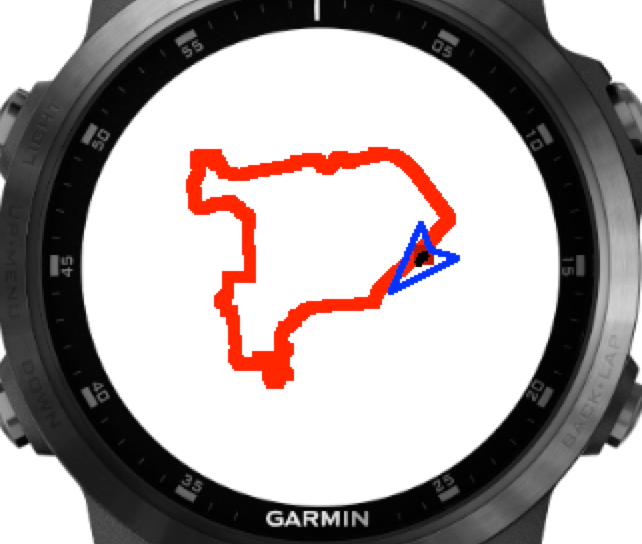 Garmin Venu 2 _dwmap