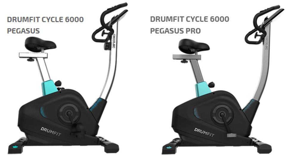 6000 Pegasus_VS pro