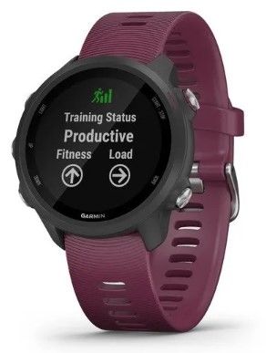 Forerunner 245_Burdeos