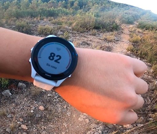 FR255_reloj