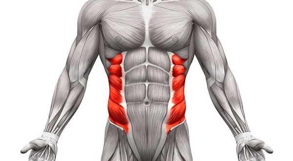 abdominales oblicuos ejercicios