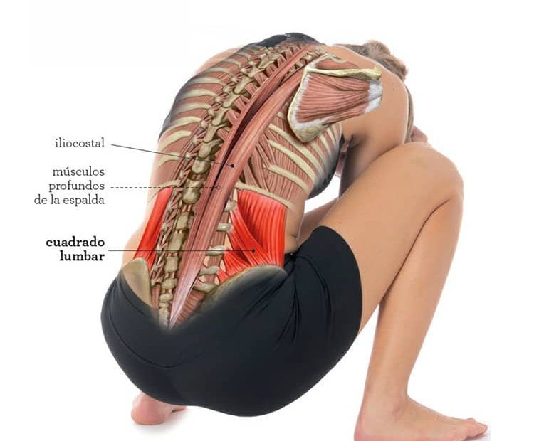 cuadrado lumbar