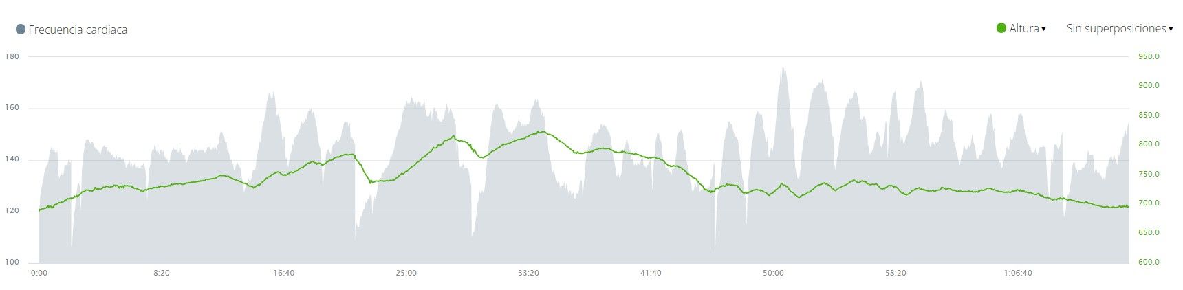 Garmin Connect_graficoApp4