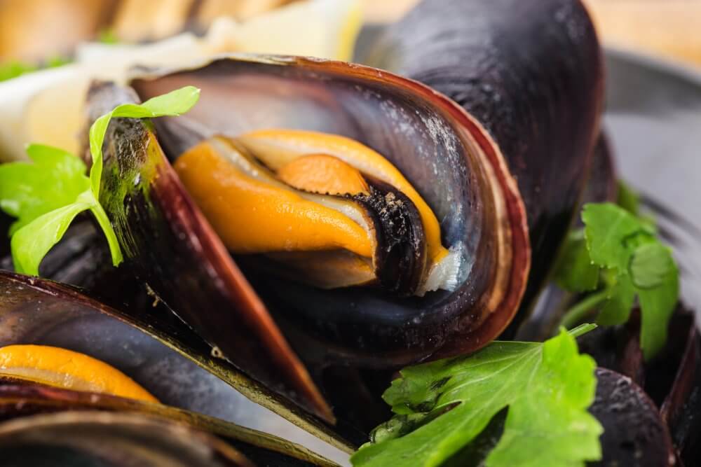 alimentos-con-mas-proteinas-mejillones-al-vino-perejil-limon-mariscos
