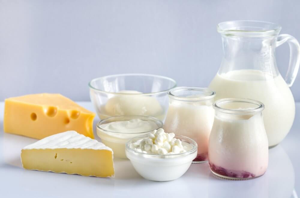 alimentos-con-mas-proteinas-productos-lacteos